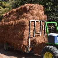 transporting-pine-bale-to-load-site.jpg